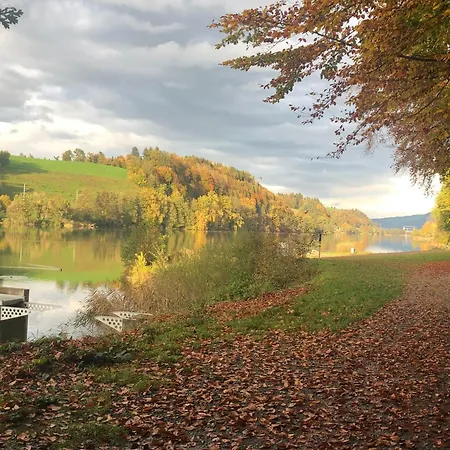 Charming Studio Near Rotsee Lucerne Kitchen/Wifi/Wasching Machine Extérieur photo