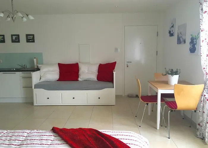 Charming Studio Near Rotsee Lucerne Kitchen/Wifi/Wasching Machine