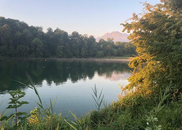Charming Studio Near Rotsee Lucerne Kitchen/Wifi/Wasching Machine