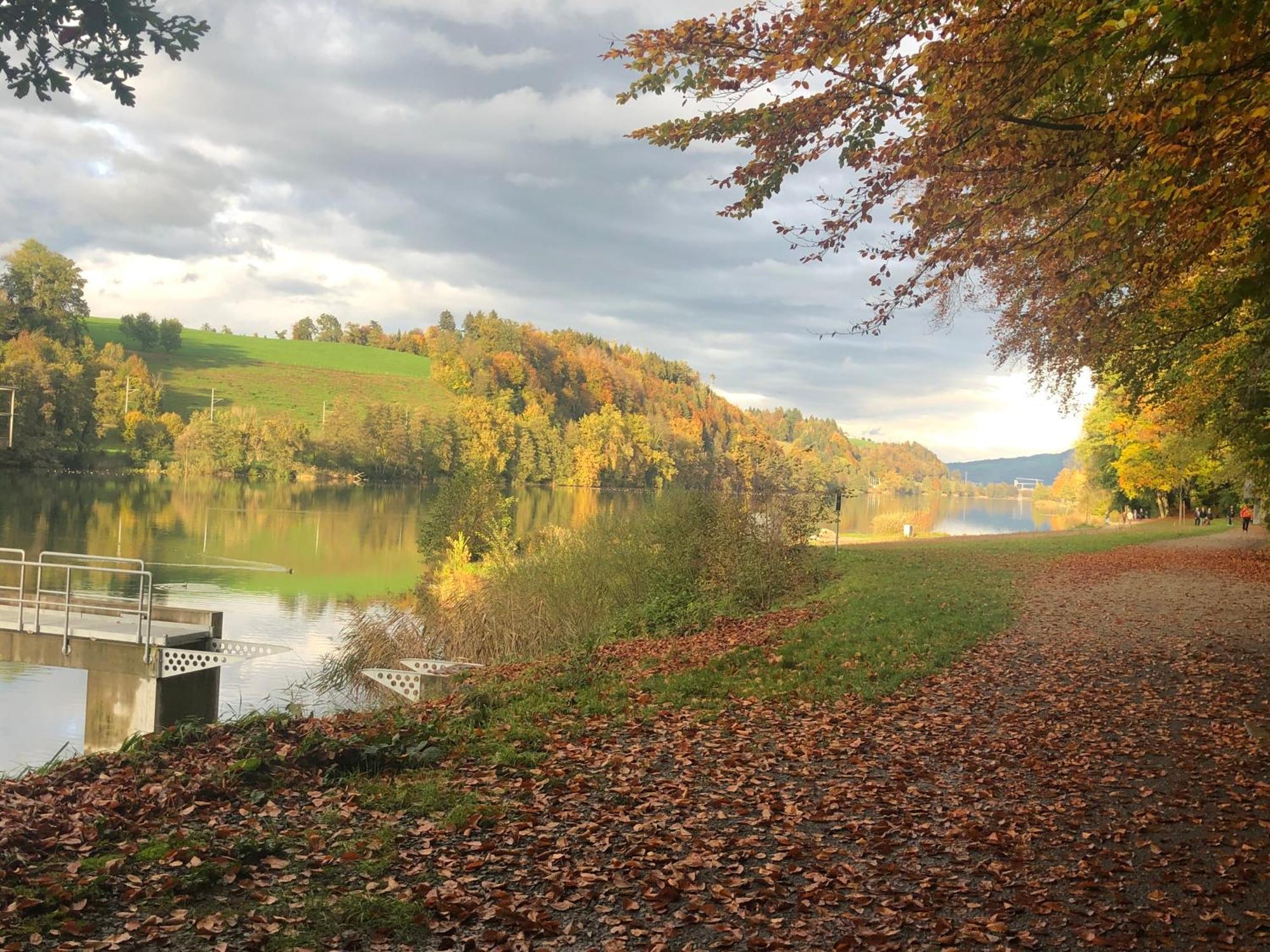 Apartment Charming Near Rotsee Kitchen/wifi/wasching Machine