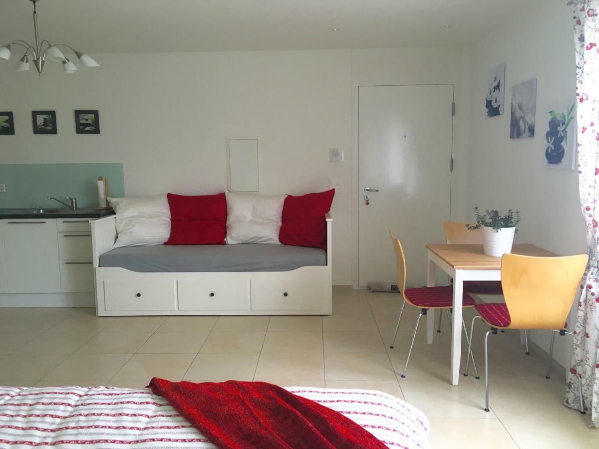 Charming Near Rotsee Kitchen/wifi/wasching Machine *