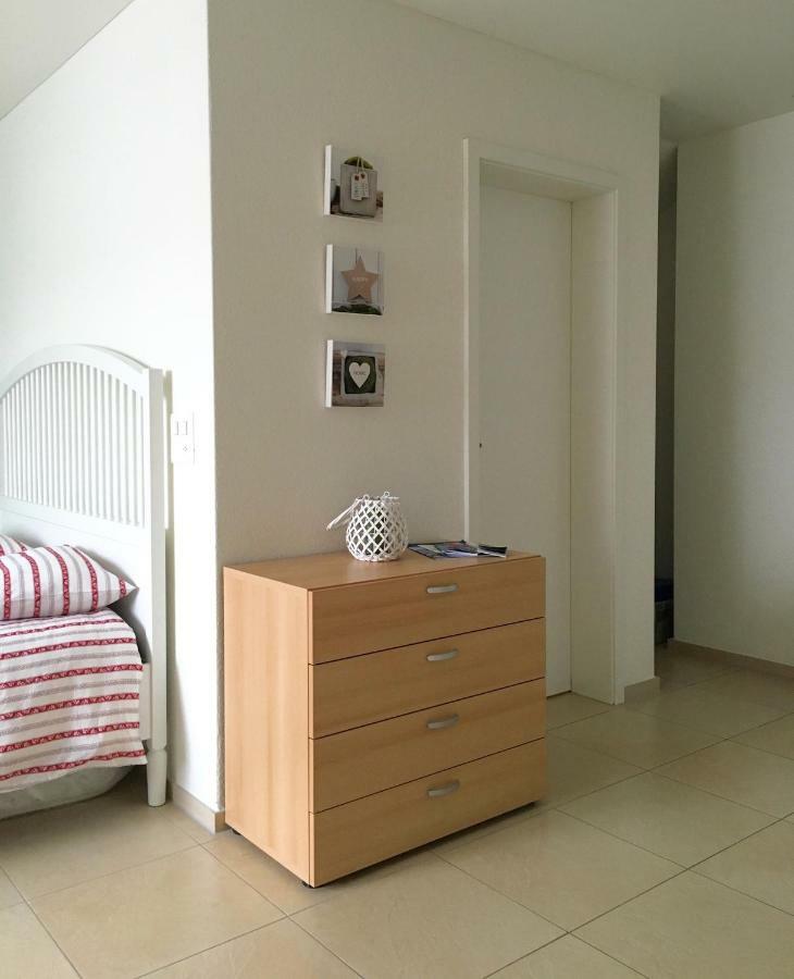 Apartment Charming Near Rotsee Kitchen/wifi/wasching Machine *