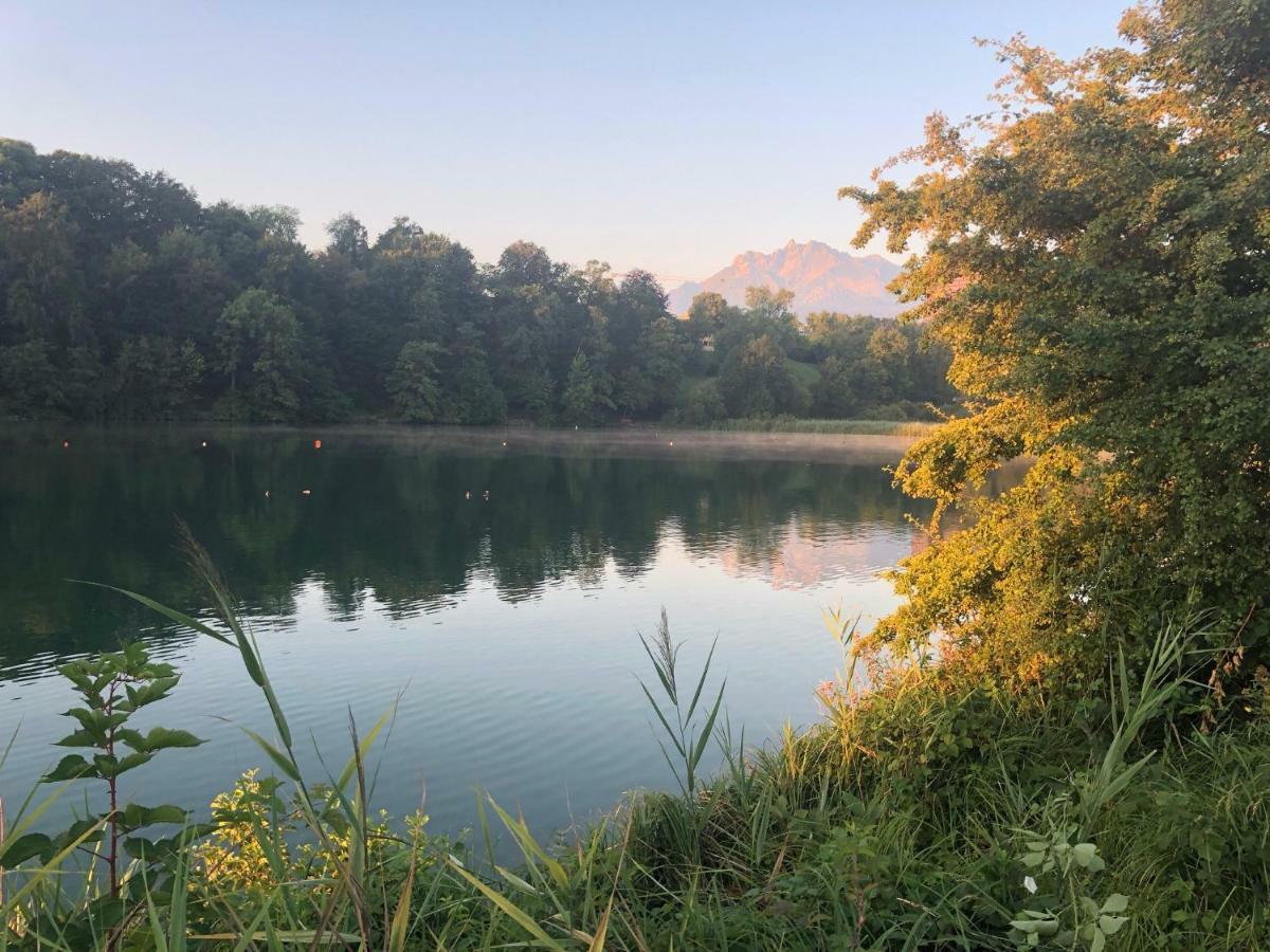 Apartment Charming Near Rotsee Kitchen/wifi/wasching Machine Lucerne